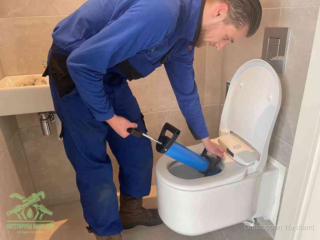 Kosten Wc Verstopt Westland Kosten Wc Verstopt Westland